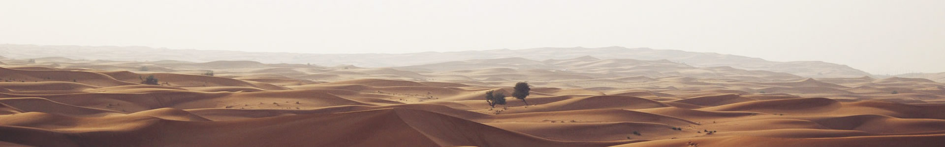 ڽƺ޹˾